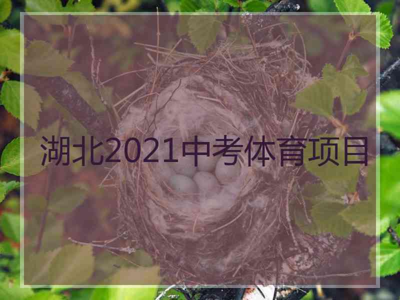 湖北2021中考体育项目