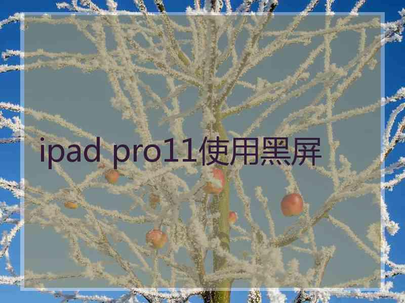 ipad pro11使用黑屏