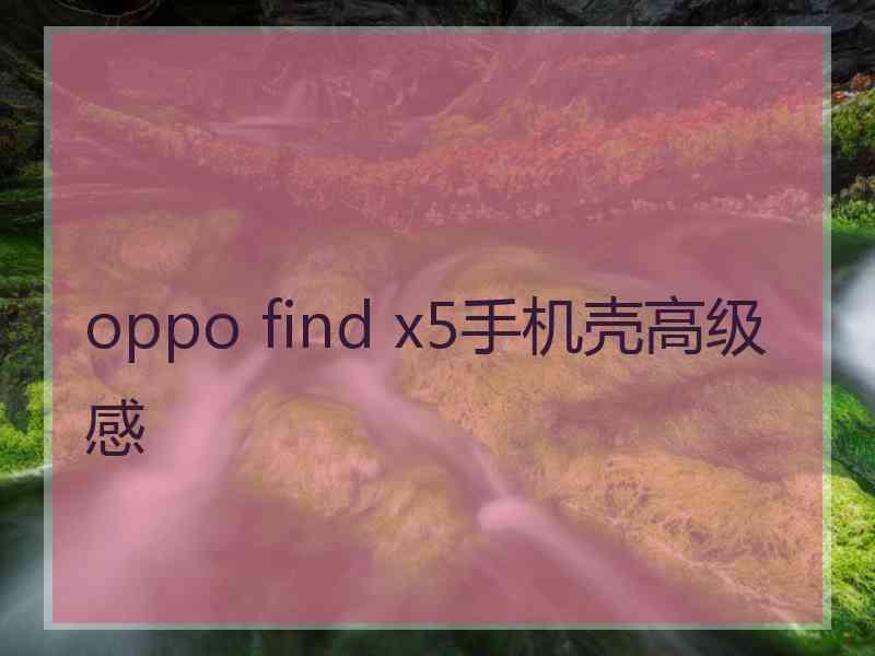 oppo find x5手机壳高级感