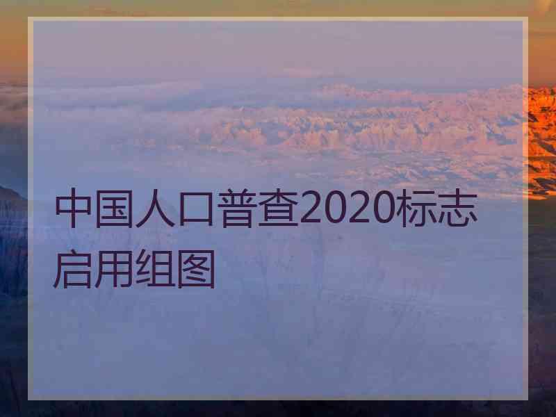 中国人口普查2020标志启用组图