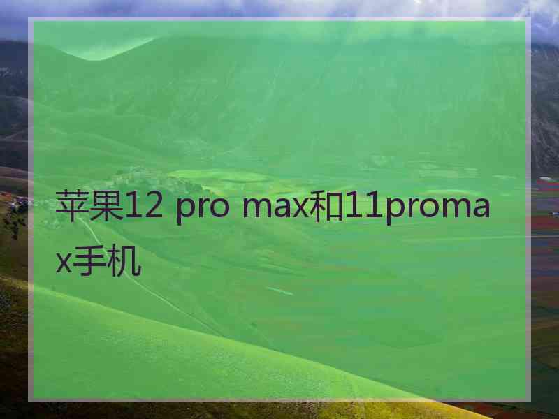 苹果12 pro max和11promax手机