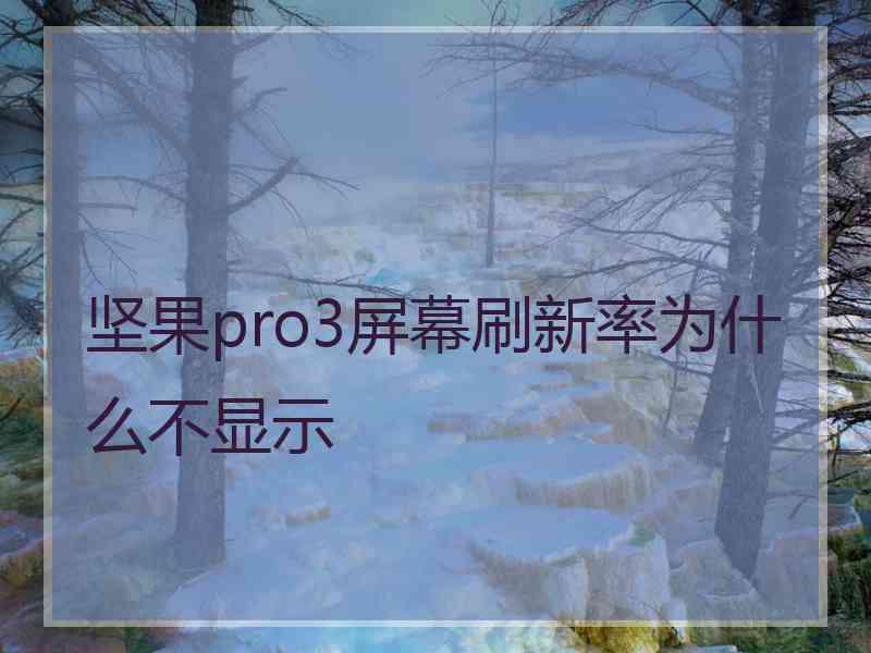 坚果pro3屏幕刷新率为什么不显示