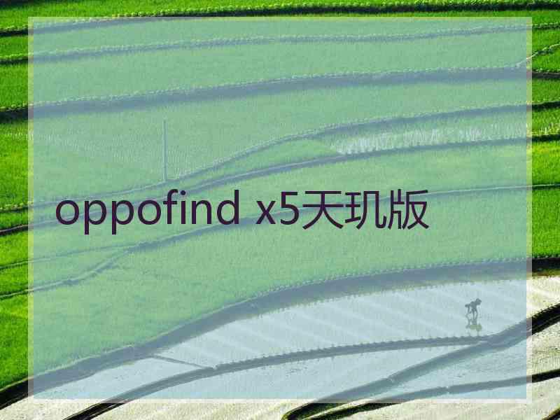 oppofind x5天玑版