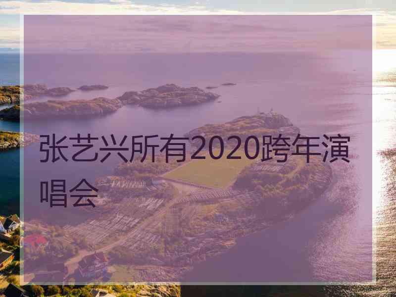 张艺兴所有2020跨年演唱会