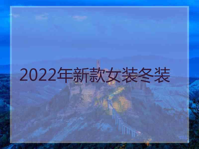 2022年新款女装冬装