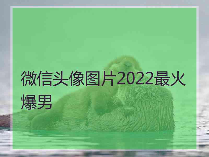 微信头像图片2022最火爆男