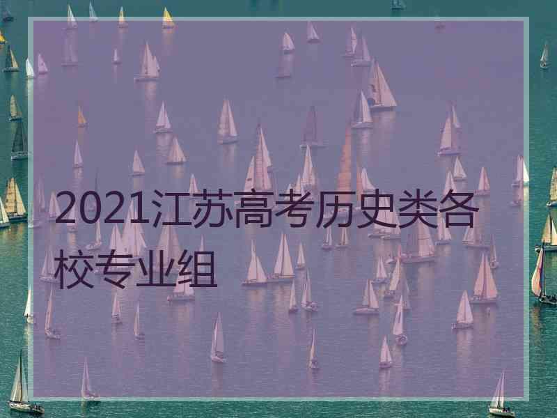 2021江苏高考历史类各校专业组