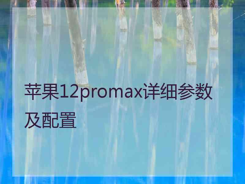 苹果12promax详细参数及配置