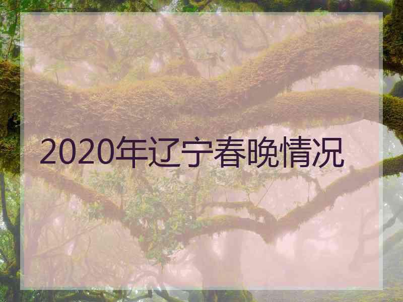 2020年辽宁春晚情况