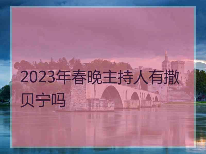 2023年春晚主持人有撒贝宁吗