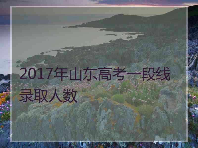 2017年山东高考一段线录取人数