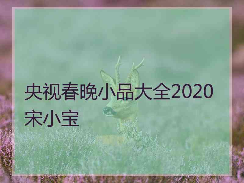 央视春晚小品大全2020宋小宝