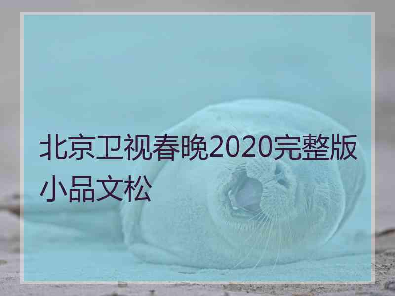 北京卫视春晚2020完整版小品文松