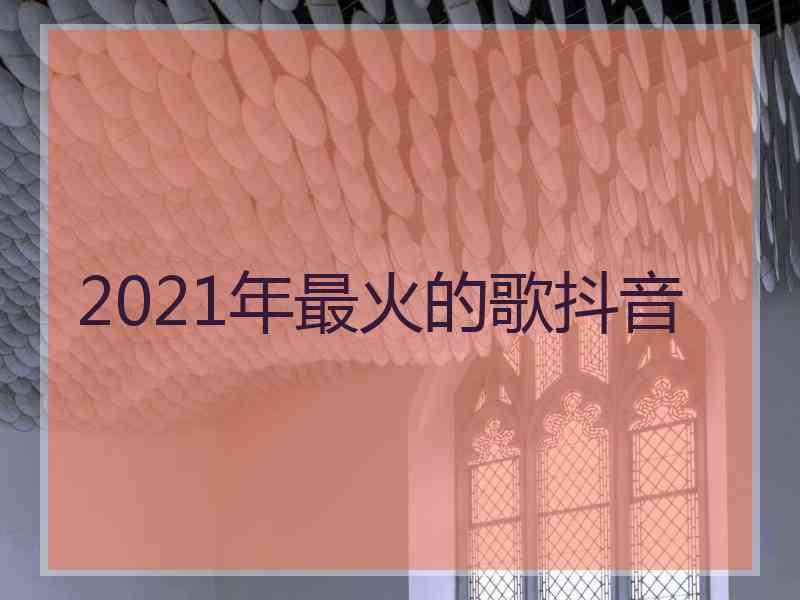 2021年最火的歌抖音