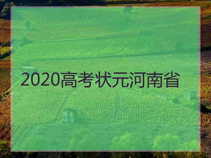 2020高考状元河南省