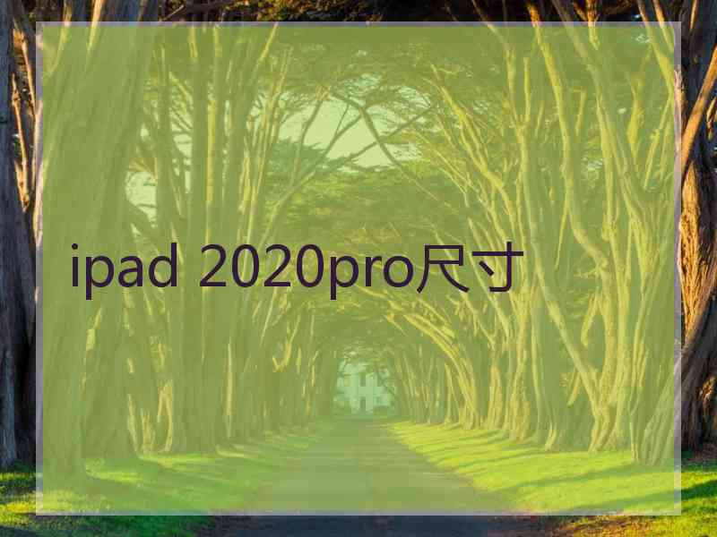 ipad 2020pro尺寸