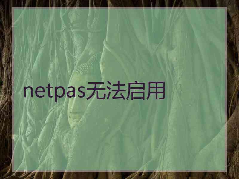 netpas无法启用