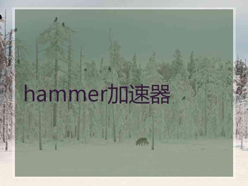 hammer加速器