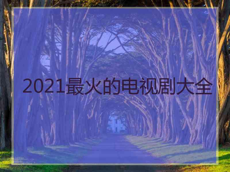 2021最火的电视剧大全