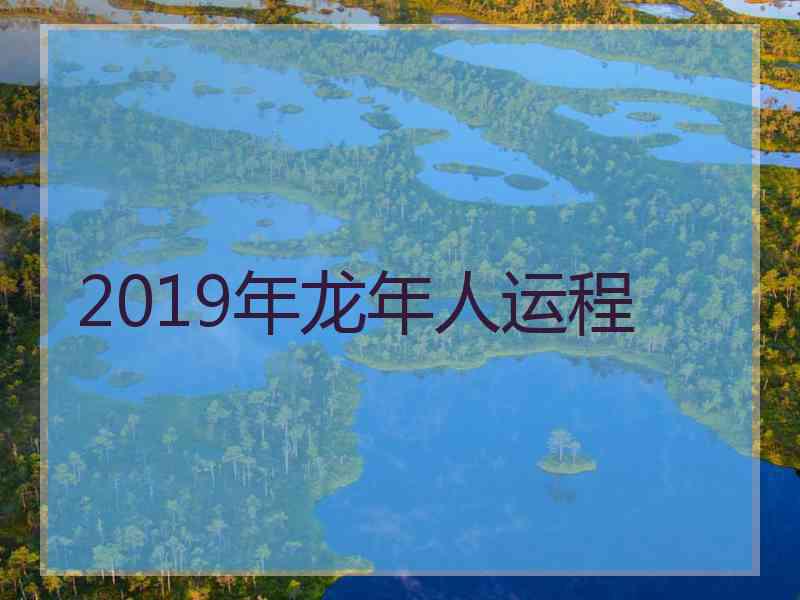 2019年龙年人运程