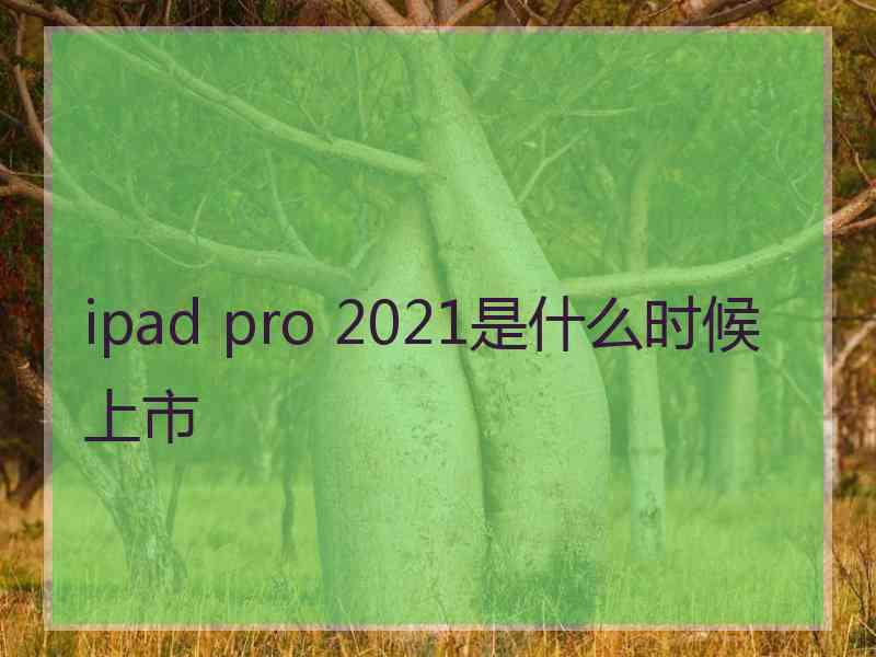 ipad pro 2021是什么时候上市