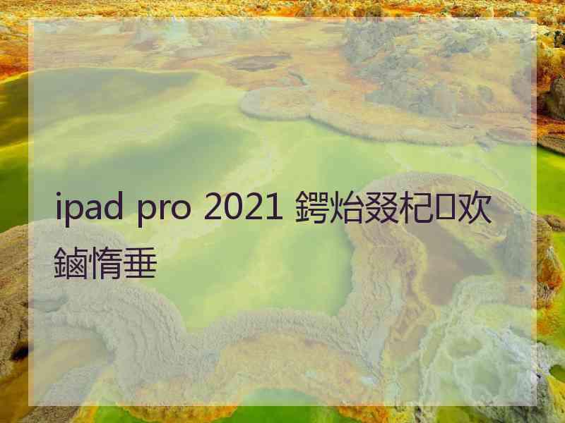 ipad pro 2021 鍔炲叕杞欢鏀惰垂