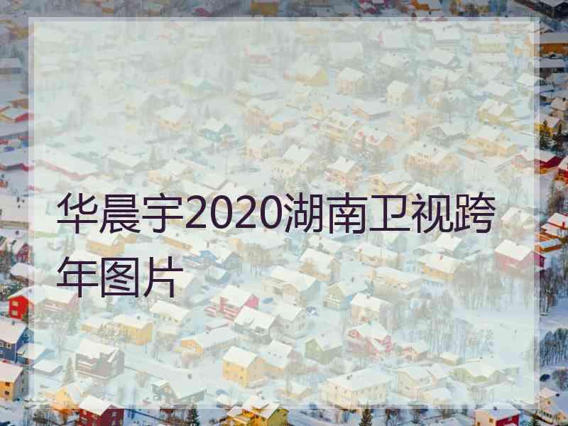 华晨宇2020湖南卫视跨年图片