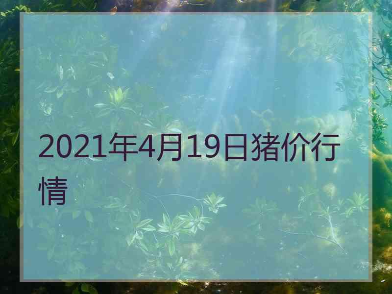 2021年4月19日猪价行情