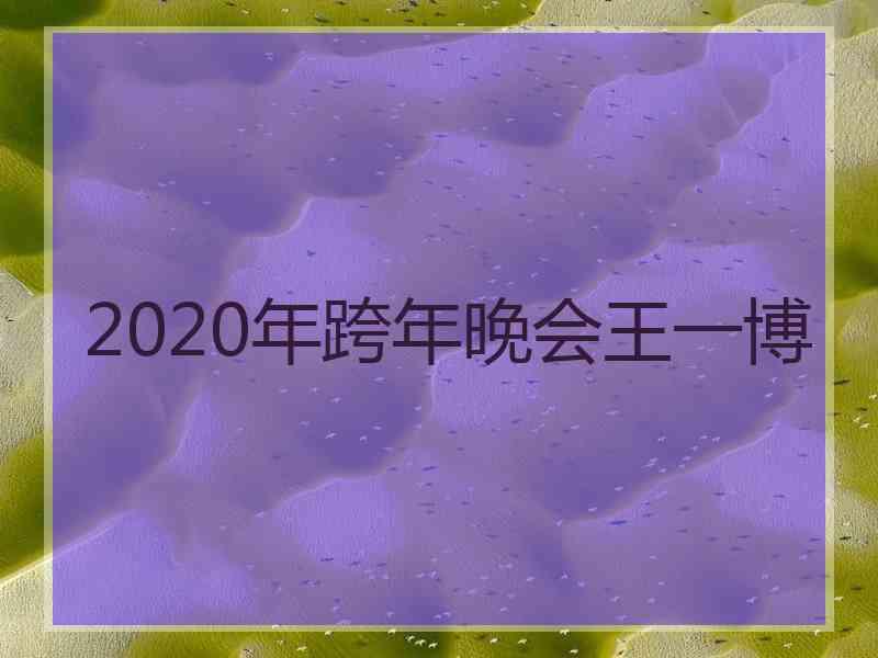 2020年跨年晚会王一博