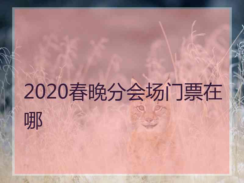 2020春晚分会场门票在哪