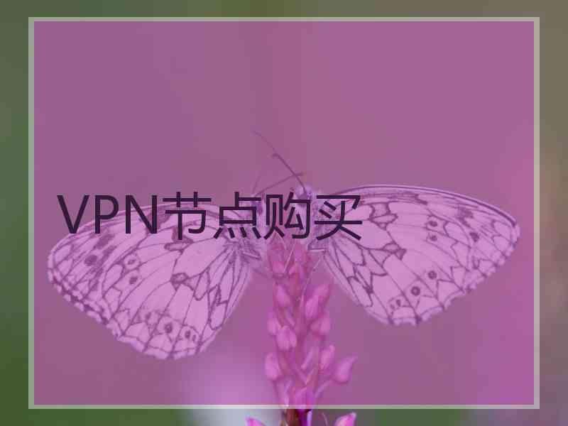 VPN节点购买