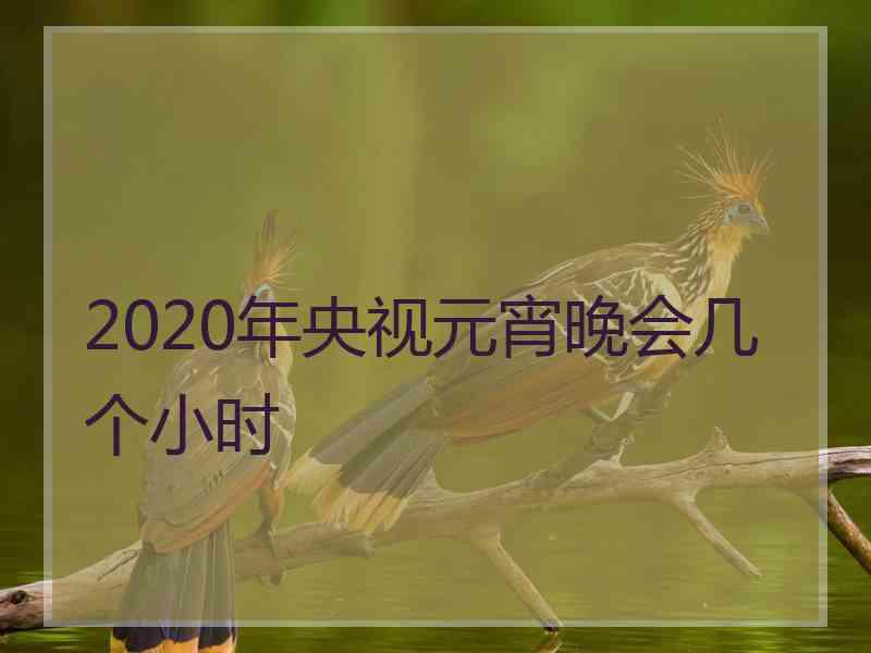 2020年央视元宵晚会几个小时