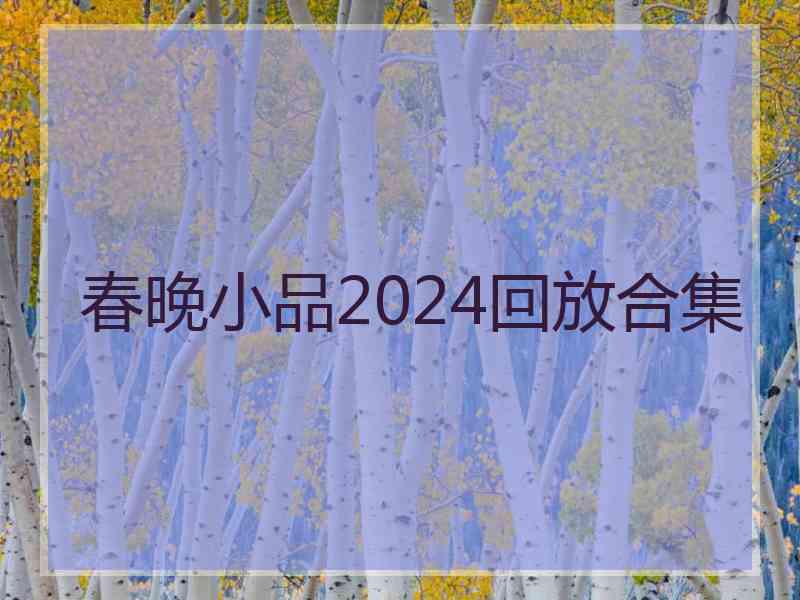 春晚小品2024回放合集