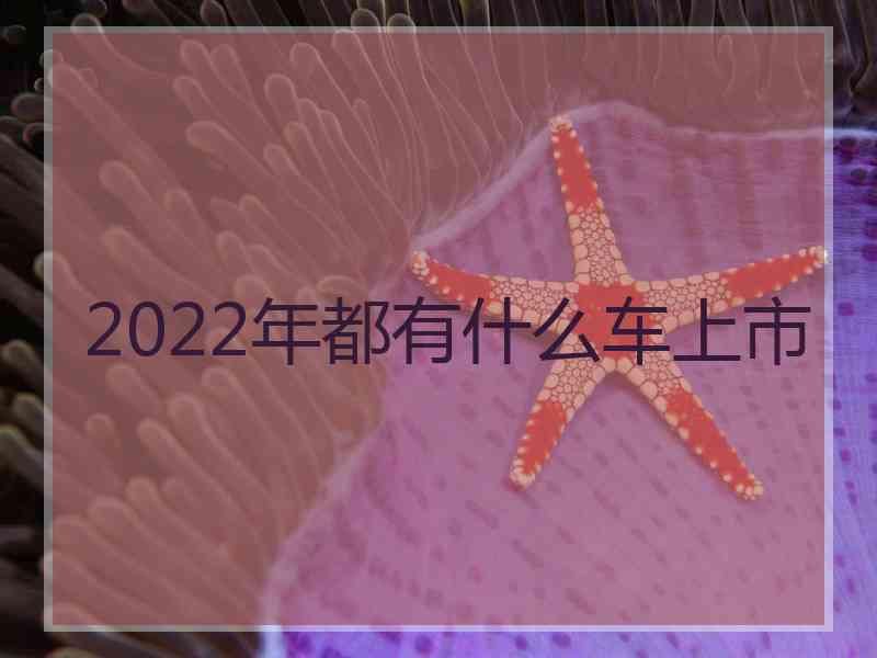 2022年都有什么车上市