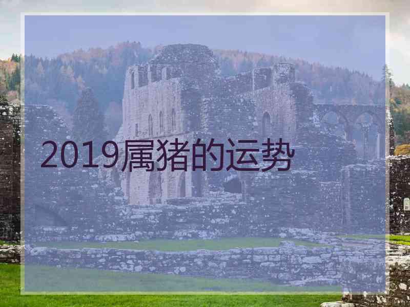 2019属猪的运势