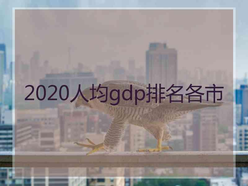 2020人均gdp排名各市