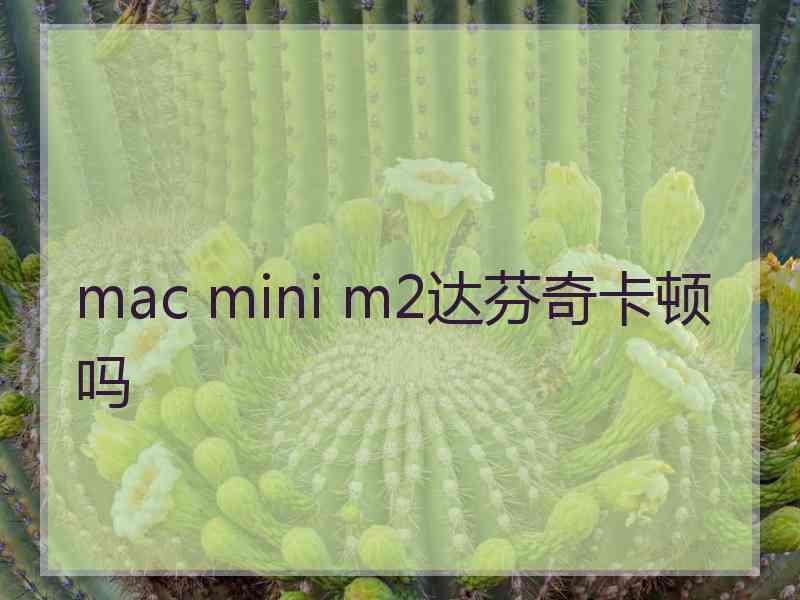 mac mini m2达芬奇卡顿吗