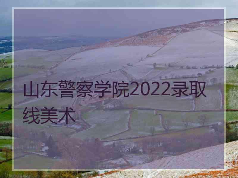 山东警察学院2022录取线美术