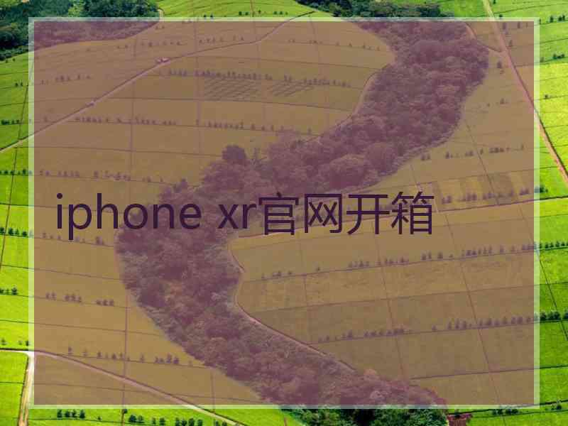 iphone xr官网开箱