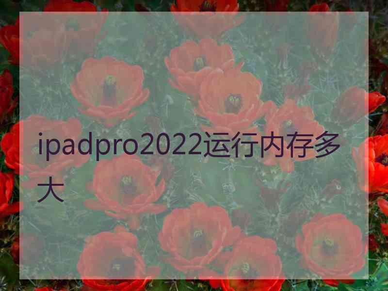 ipadpro2022运行内存多大