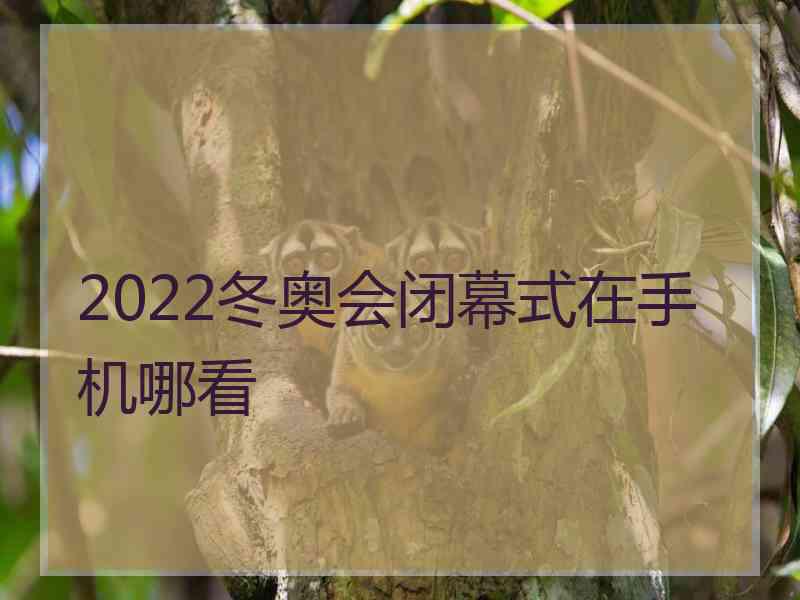 2022冬奥会闭幕式在手机哪看