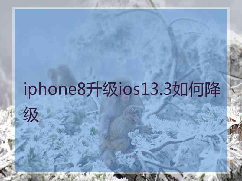 iphone8升级ios13.3如何降级