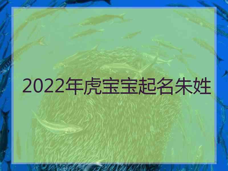 2022年虎宝宝起名朱姓