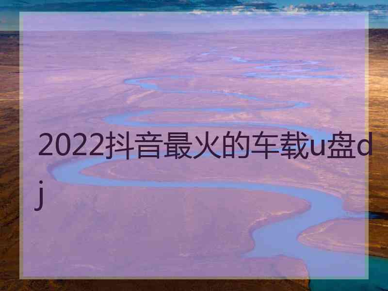 2022抖音最火的车载u盘dj