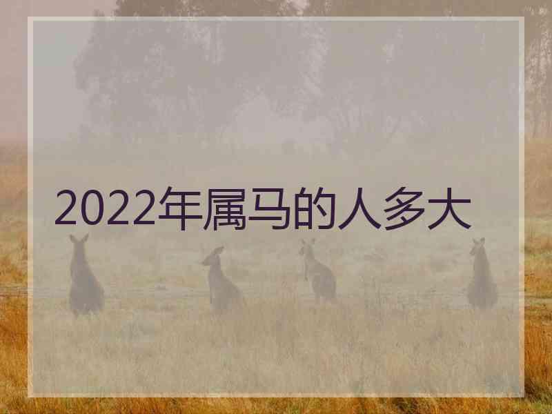 2022年属马的人多大