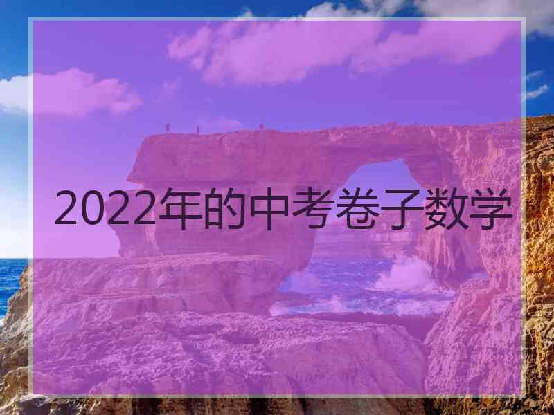 2022年的中考卷子数学