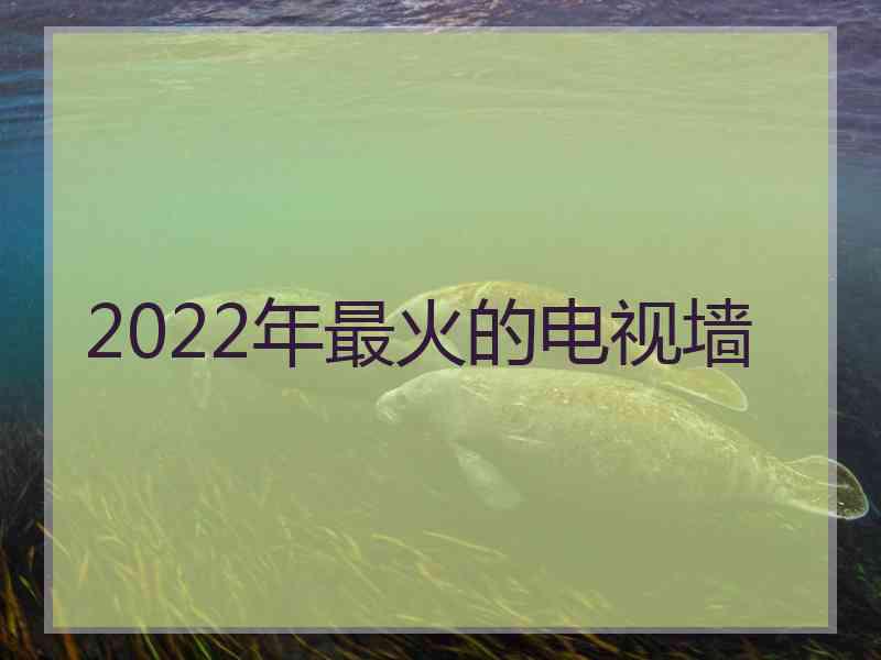 2022年最火的电视墙