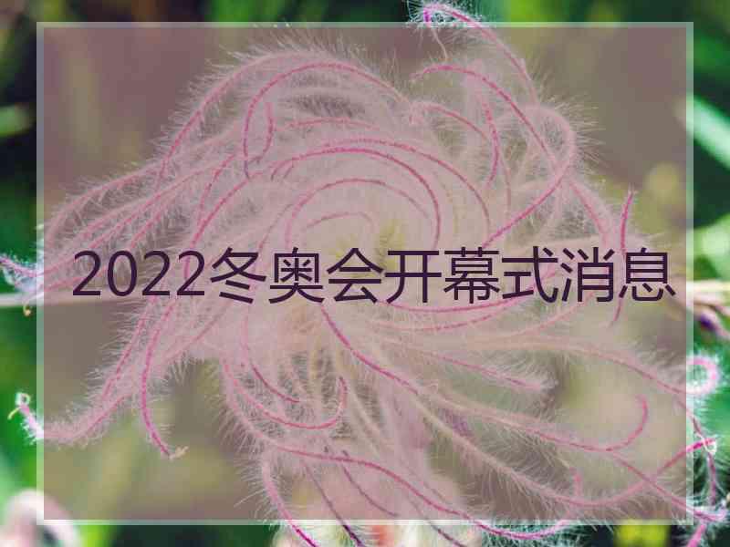 2022冬奥会开幕式消息