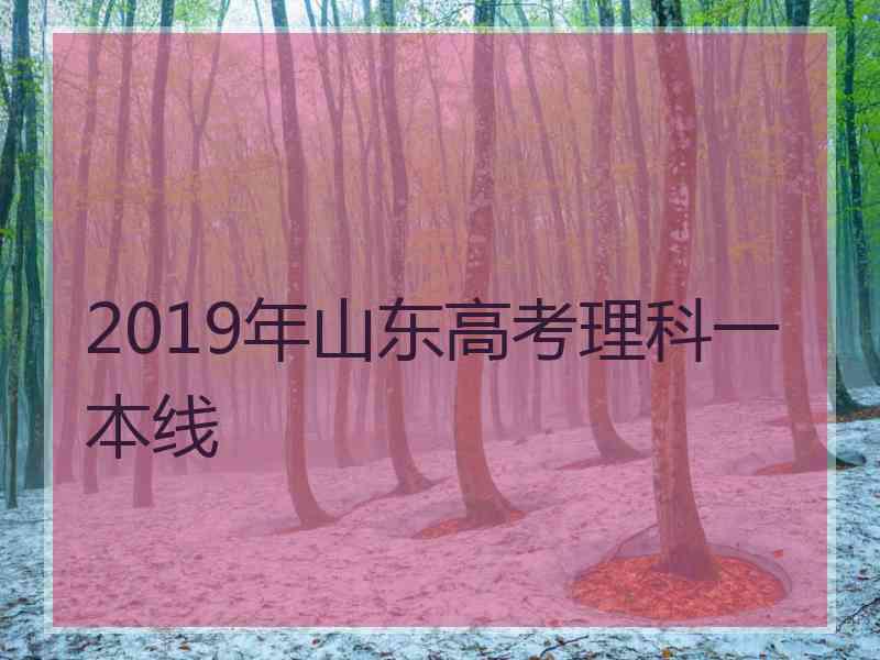 2019年山东高考理科一本线