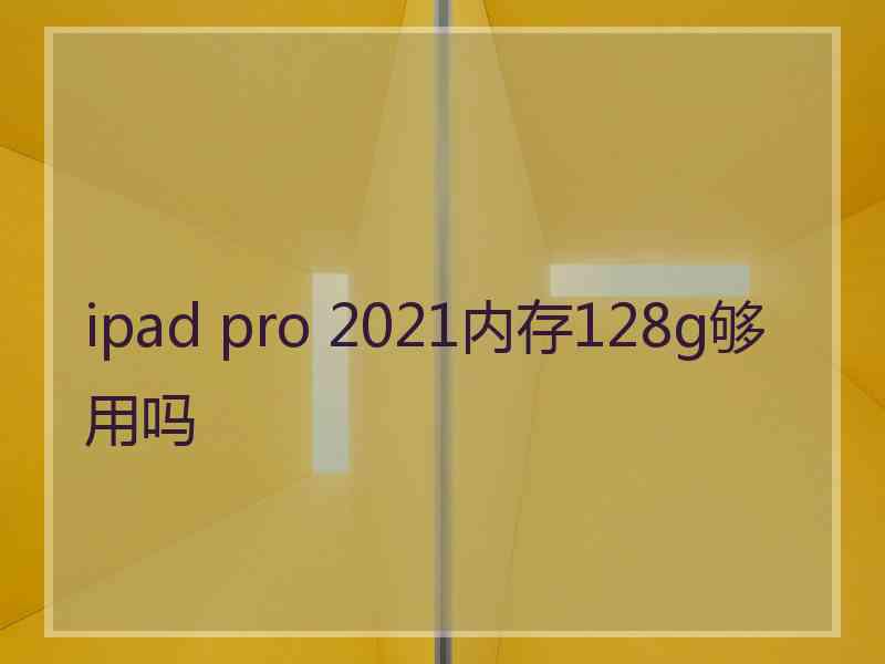 ipad pro 2021内存128g够用吗